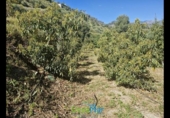 Terreno no urbanizable en venta en la España, Jete, ref: TR404328 foto