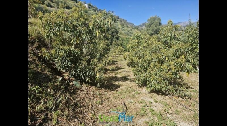 Granada - Jete - 9000m2