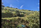 Terreno no urbanizable en venta en la España, Jete, ref: TR404328 foto