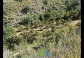 Terreno no urbanizable en venta en la España, Jete, ref: TR404328 foto
