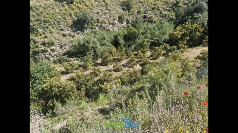 Granada - Jete - 9000m2
