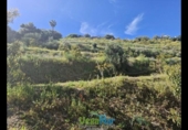 Terreno no urbanizable en venta en la España, Jete, ref: TR404328 foto
