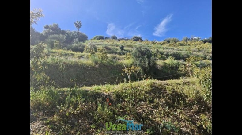 Granada - Jete - 9000m2