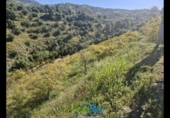 Terreno no urbanizable en venta en la España, Jete, ref: TR404328 foto