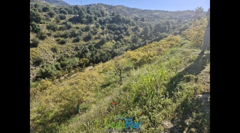 Granada - Jete - 9000m2