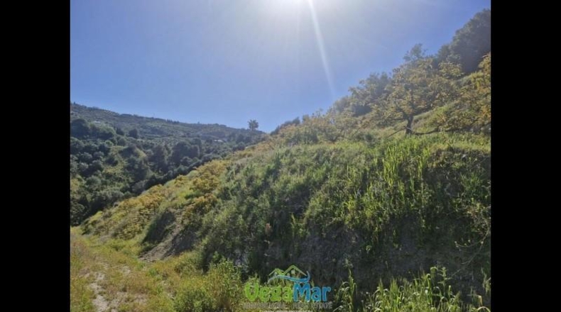 Granada - Jete - 9000m2