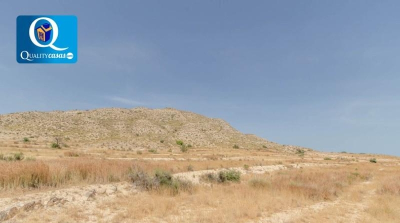 Alicante - Alicante - 21534m2