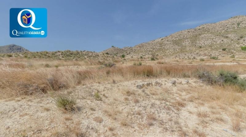 Alicante - Alicante - 21534m2