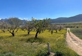Foto 14