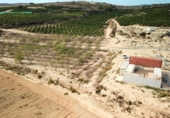 Non-developable land for sale on España, Orihuela, ref: TR415539 photo
