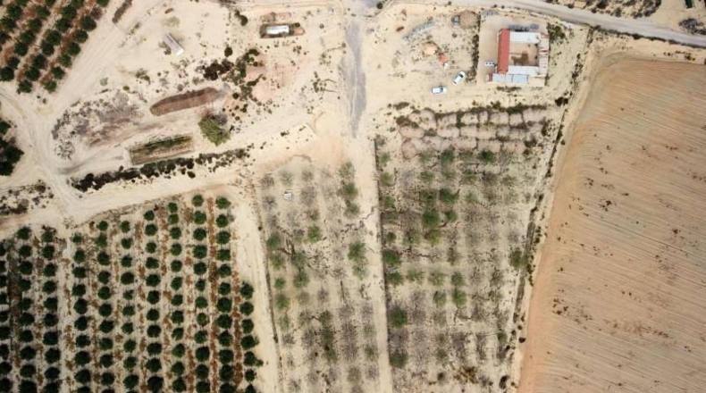Alicante - Orihuela - 10000m2