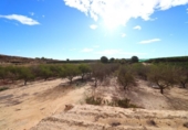 Non-developable land for sale on España, Orihuela, ref: TR415539 photo