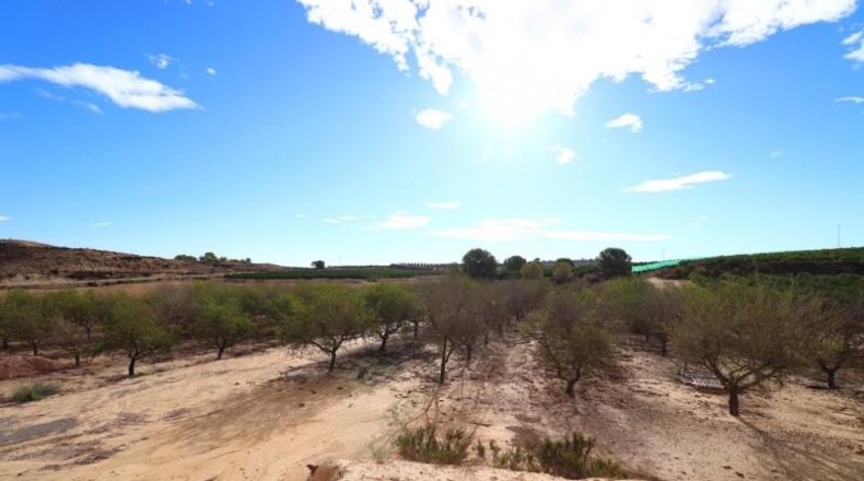 Alicante - Orihuela - 10000m2