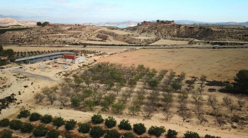Alicante - Orihuela - 10000m2