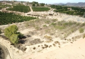 Non-developable land for sale on España, Orihuela, ref: TR415539 photo