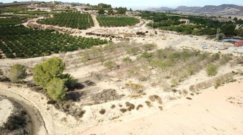 Alicante - Orihuela - 10000m2