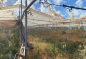 Non-developable land for sale on España, Rota, ref: TR415540 photo