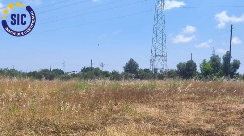 Кастельон - Castelló de la Plana - 2129m2