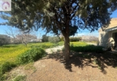 Land suitable for development for sale on España, Ogíjares, ref: TR415551 photo