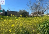 Land suitable for development for sale on España, Ogíjares, ref: TR415551 photo