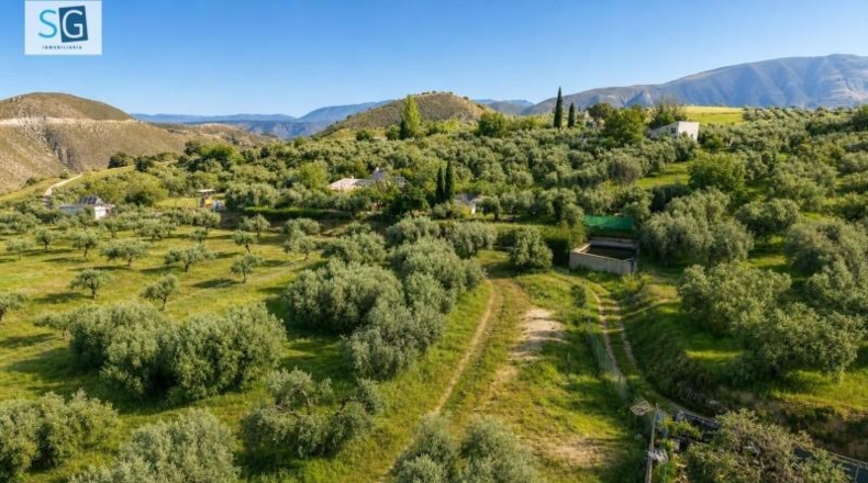 Granada - Monachil - 8000m2