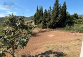 Chalet independiente con terreno en venta en la España, la Joncosa del Montmell, ref: TR415554 foto