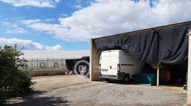 Murcia - Lorca - 250m2