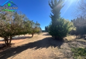 Country house with land for sale on España, Cartagena, ref: TR406004 photo
