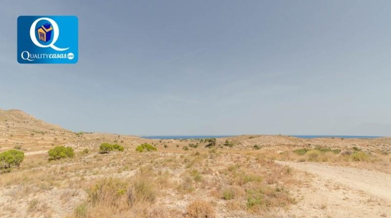 Alicante - Alicante - 44074m2