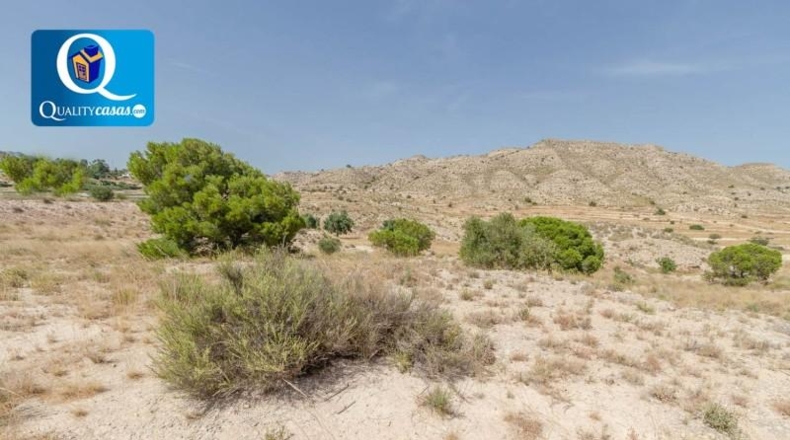 Alicante - Alicante - 44074m2