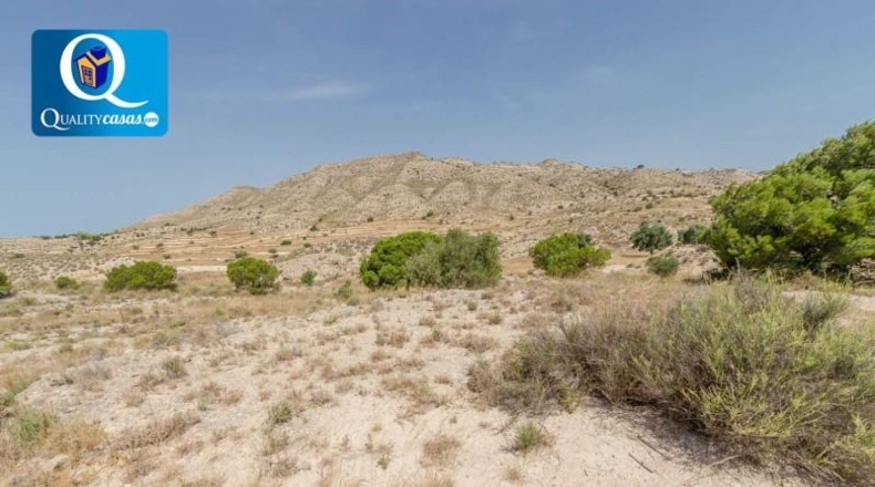 Alicante - Alicante - 44074m2
