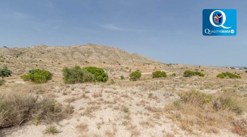 Alicante - Alicante - 44074m2