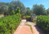 Casa de campo con terreno en venta en la España, Manacor, ref: TR415582 foto