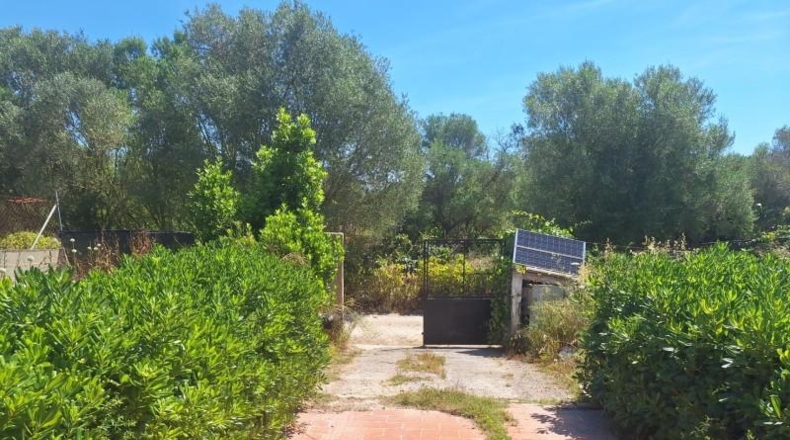 Illes Balears - Manacor - 600m2