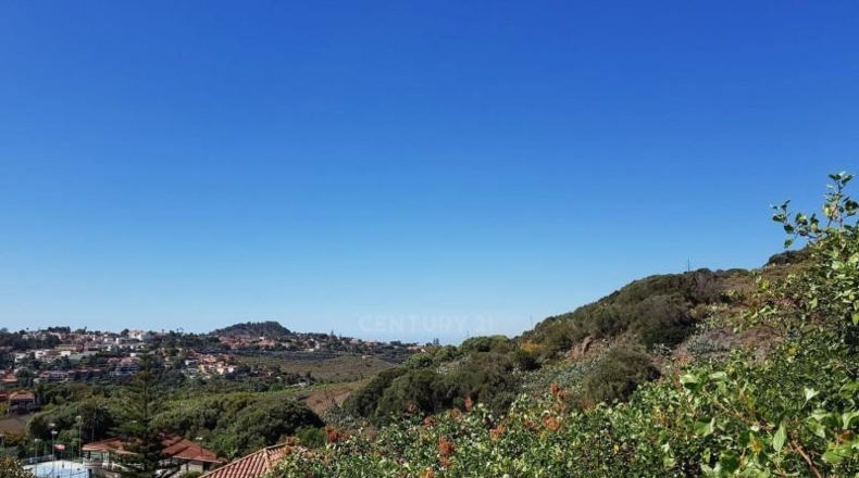 Las Palmas - Santa Brígida - 435m2