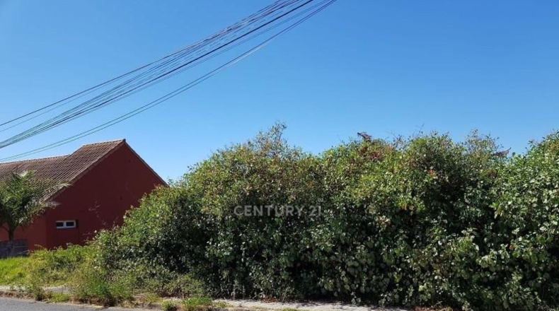 Las Palmas - Santa Brígida - 435m2