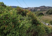 Suelo urbano en venta en la España, Santa Brígida, ref: TR371758 foto