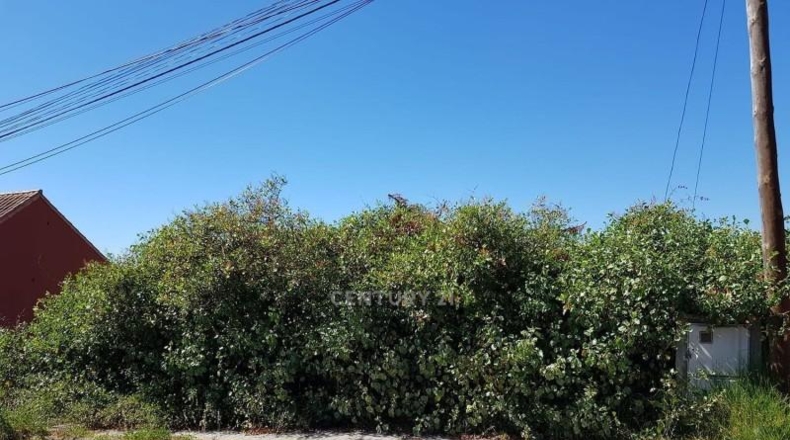 Las Palmas - Santa Brígida - 435m2
