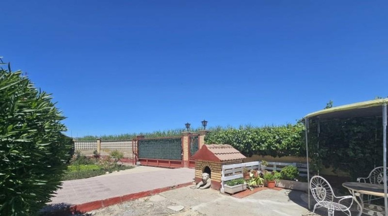 Zaragoza - Zaragoza - 730m2