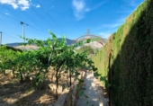 Chalet independiente con terreno en venta en la España, Almuñécar, ref: TR415601 foto