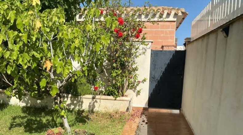 Alicante - Orihuela - 230m2