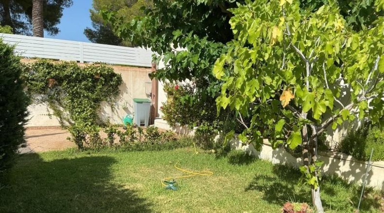 Alicante - Orihuela - 230m2