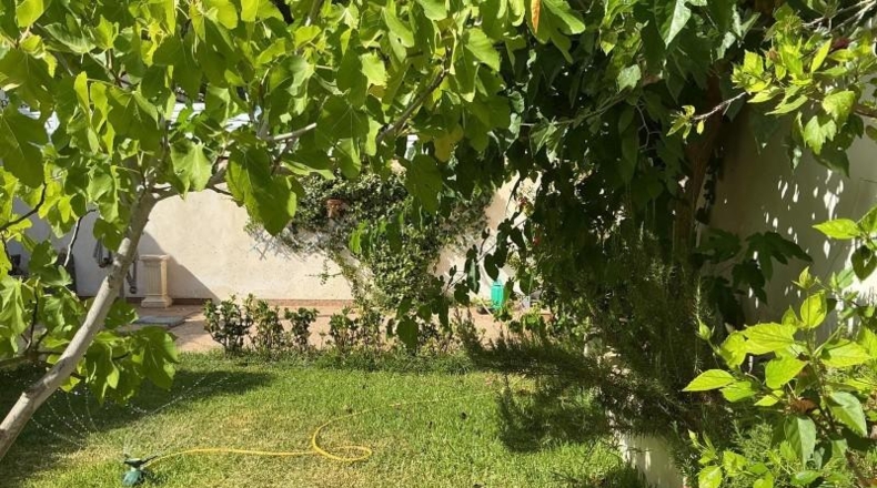 Alicante - Orihuela - 230m2