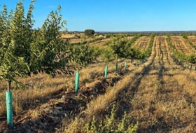 Almorox 170000&nbsp;m²