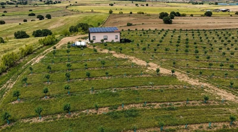 Toledo - Almorox - 170000m2