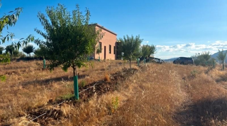 Toledo - Almorox - 170000m2