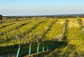 Almorox 170000&nbsp;m²