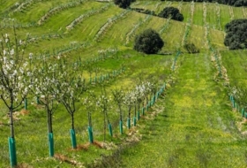 Almorox 170000&nbsp;m²