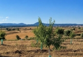 Chalet independiente con terreno en venta en la España, Almorox, ref: TR415606 foto