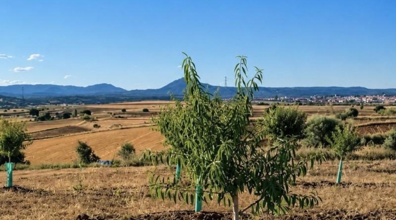 Toledo - Almorox - 170000m2